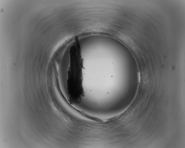 X0000065240680200602242025