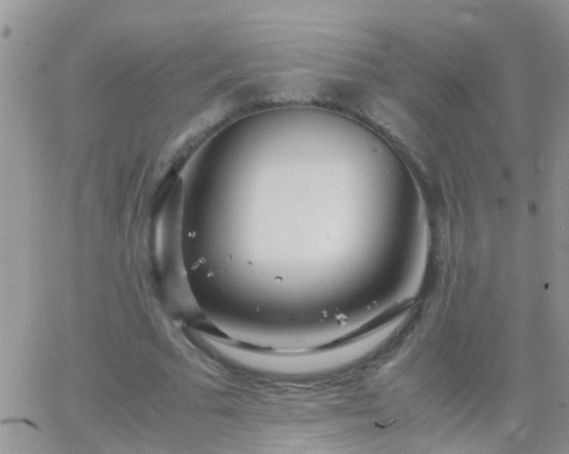 X0000065240681200602242025