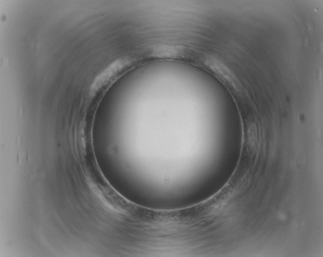 X0000065240682200602242025