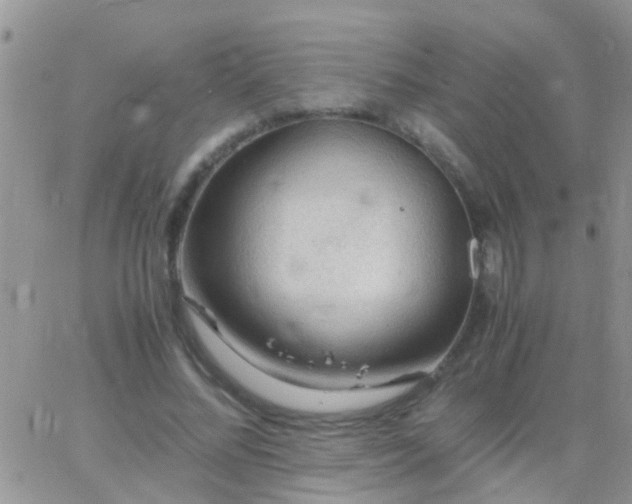 X0000065240684200602242025