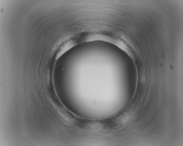 X0000065240685200602242025