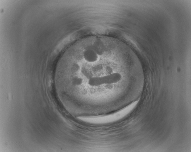 X0000065240687200602242025