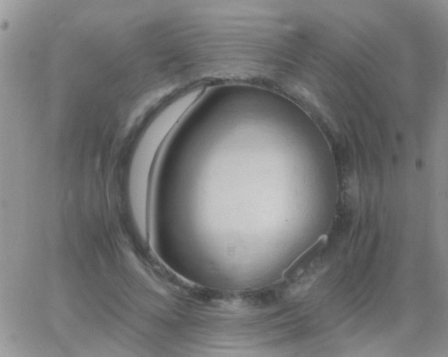 X0000065240688200602242025