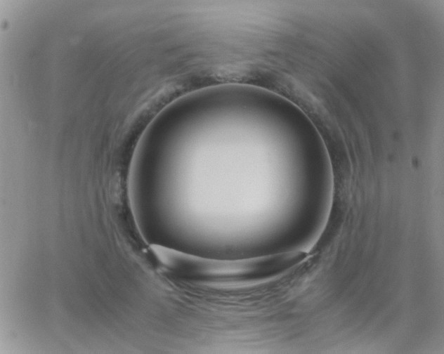 X0000065240689200602242025