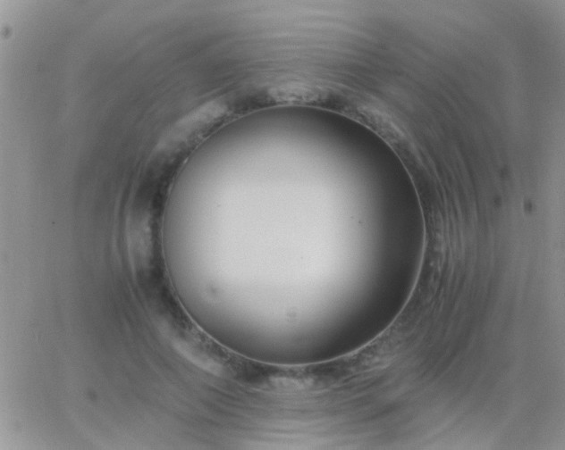 X0000065240690200602242025