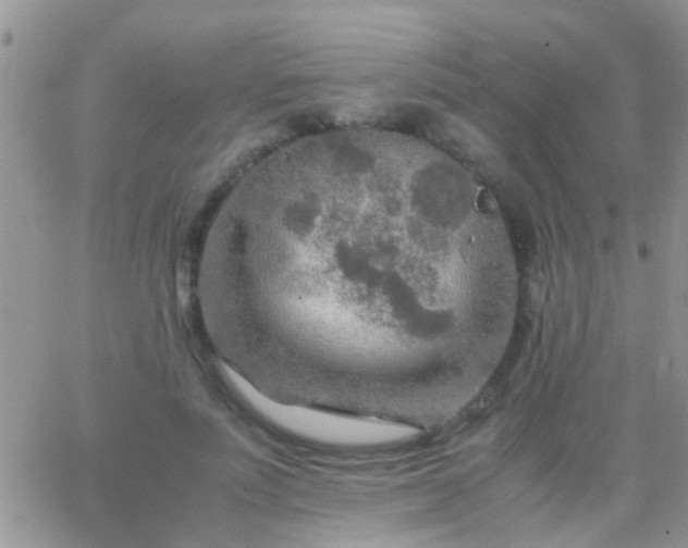 X0000065240691200602242025