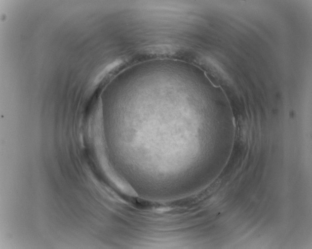 X0000065240692200602242025