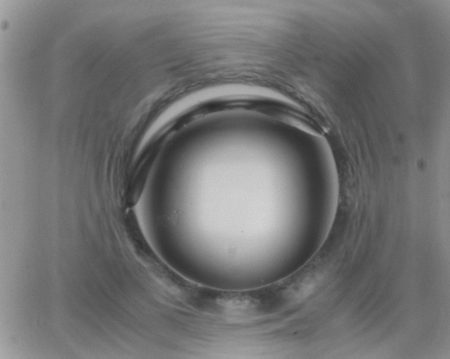 X0000065240693200602242025