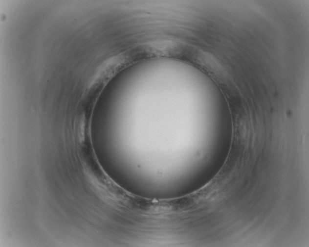 X0000065240694200602242025