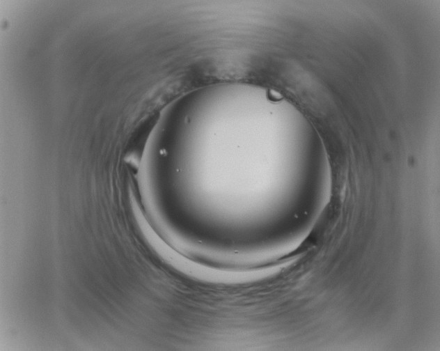 X0000065240697200602242025