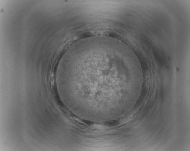 X0000065240699200602242025