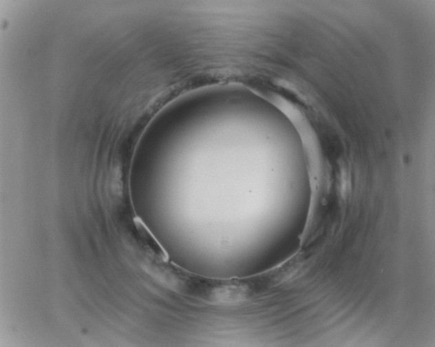 X0000065240700200602242025