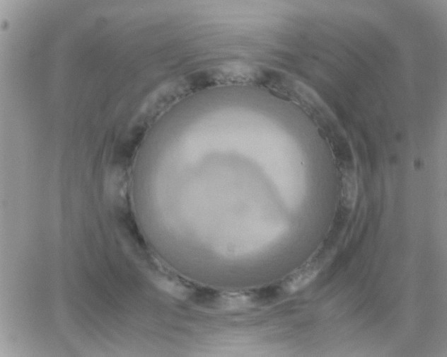 X0000065240701200602242025