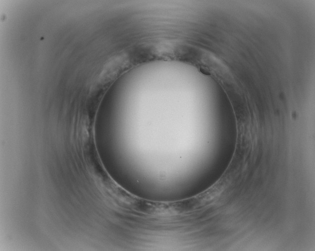 X0000065240702200602242025