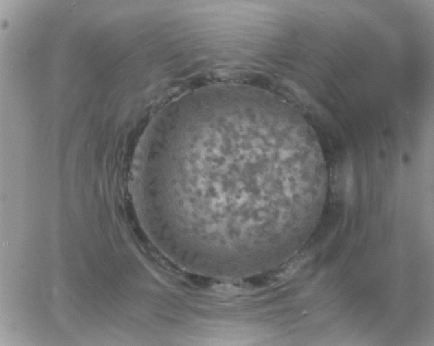 X0000065240703200602242025