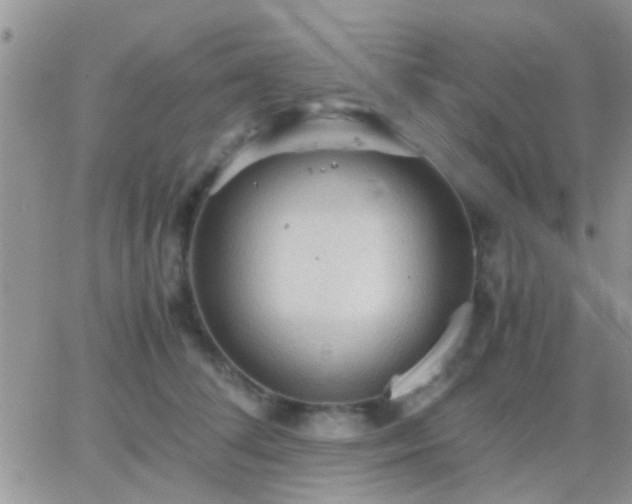 X0000065240708200602242025