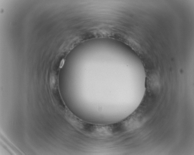 X0000065240709200602242025