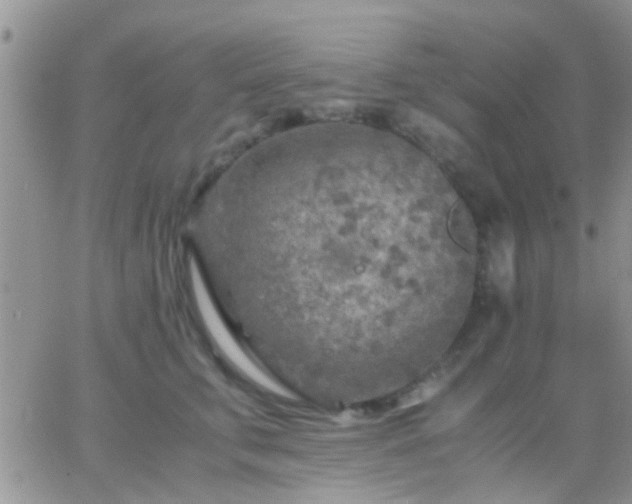 X0000065240711200602242025