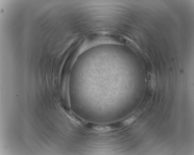 X0000065240712200602242025