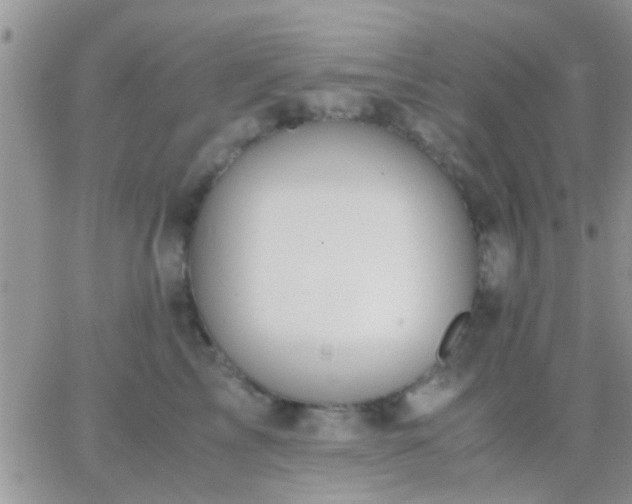 X0000065240713200602242025