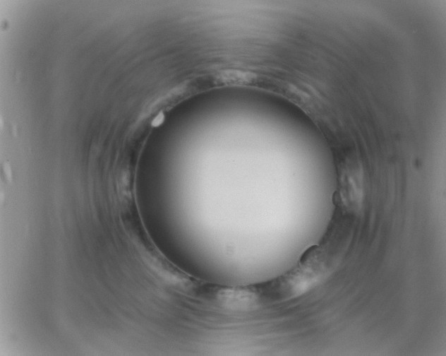 X0000065240714200602242025