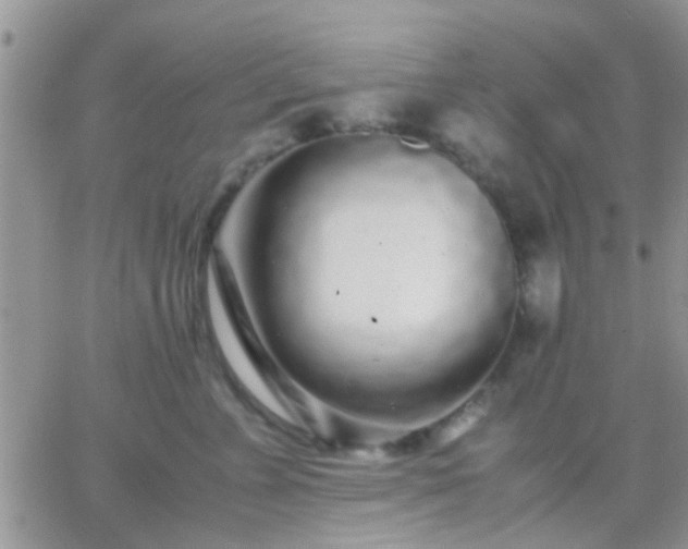 X0000065240715200602242025