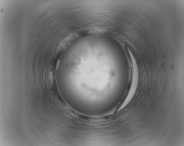 X0000065240716200602242024