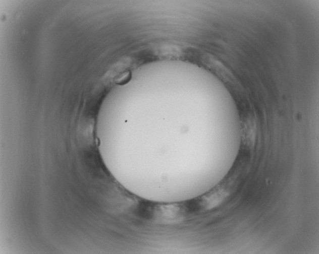 X0000065240717200602242024