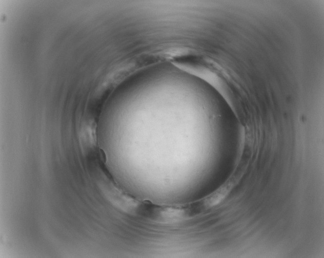 X0000065240718200602242024