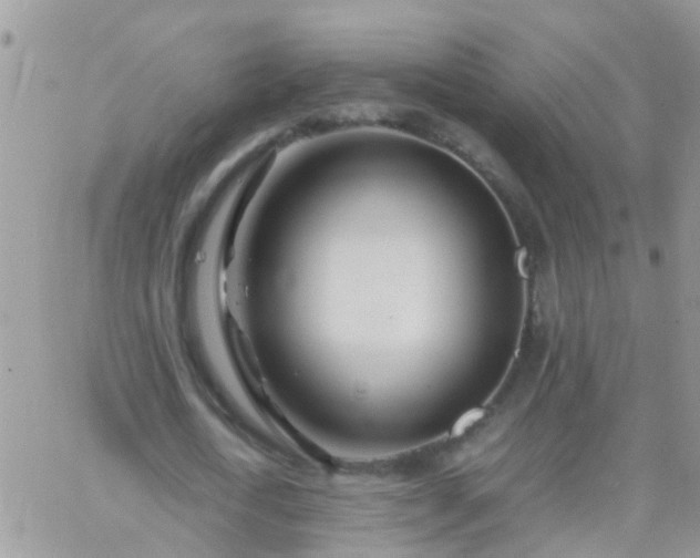 X0000065240722200602242024