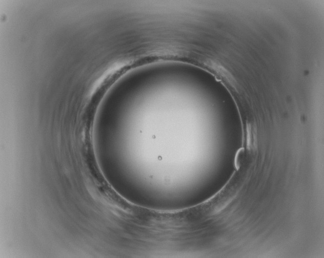 X0000065240723200602242024