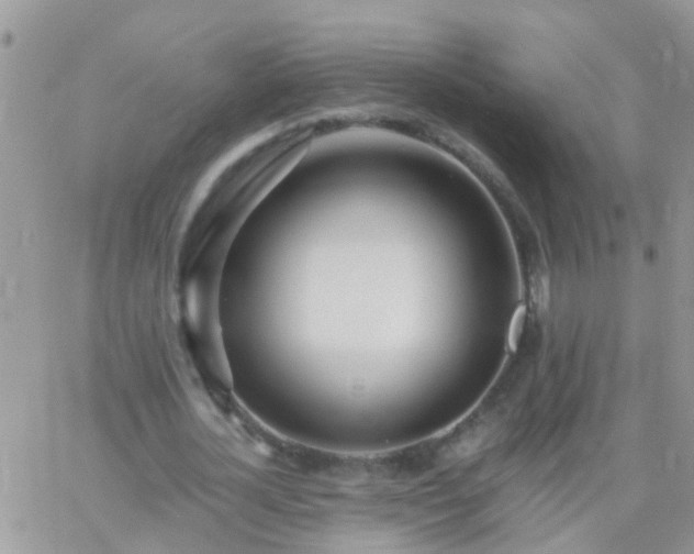 X0000065240724200602242024