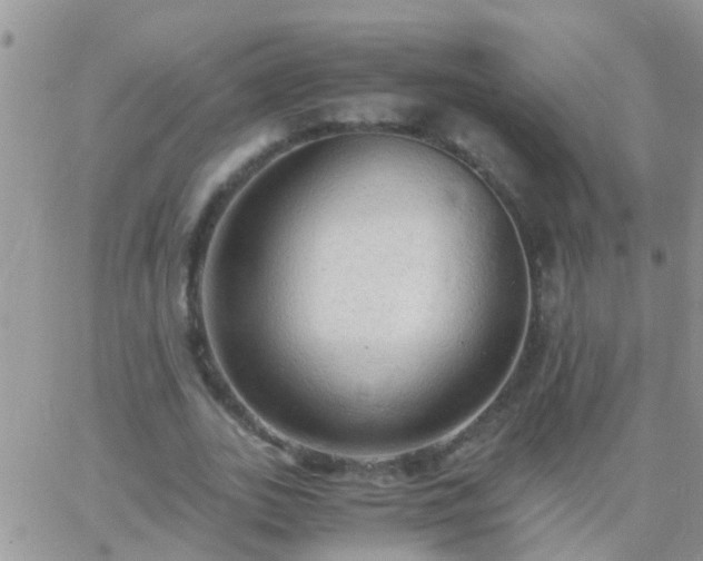 X0000065240727200602242024