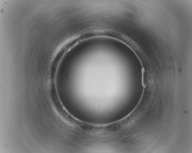 X0000065240728200602242024