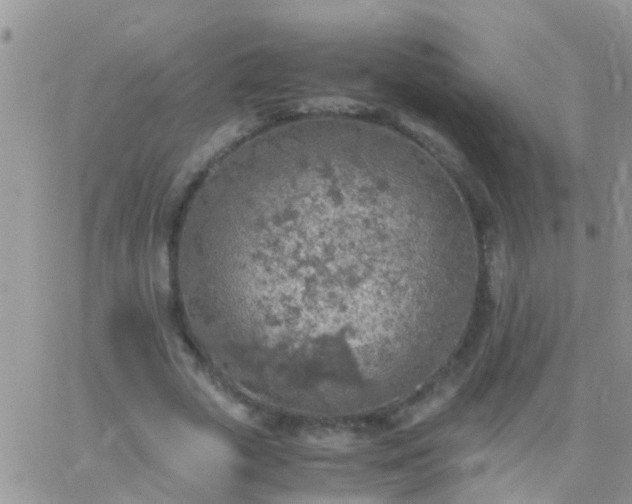 X0000065240729200602242024