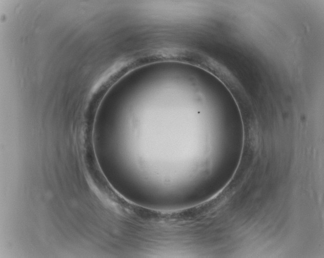 X0000065240730200602242024