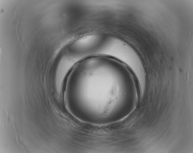 X0000065240731200602242024