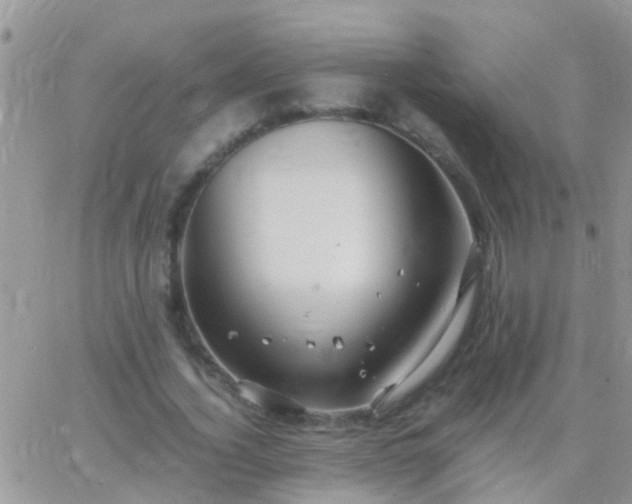 X0000065240732200602242024