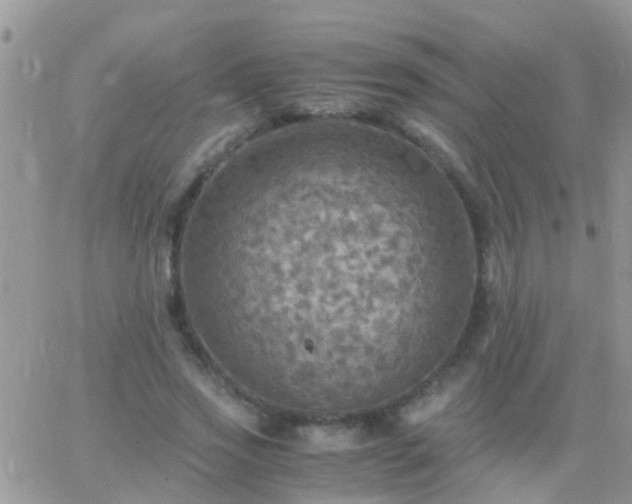 X0000065240733200602242024