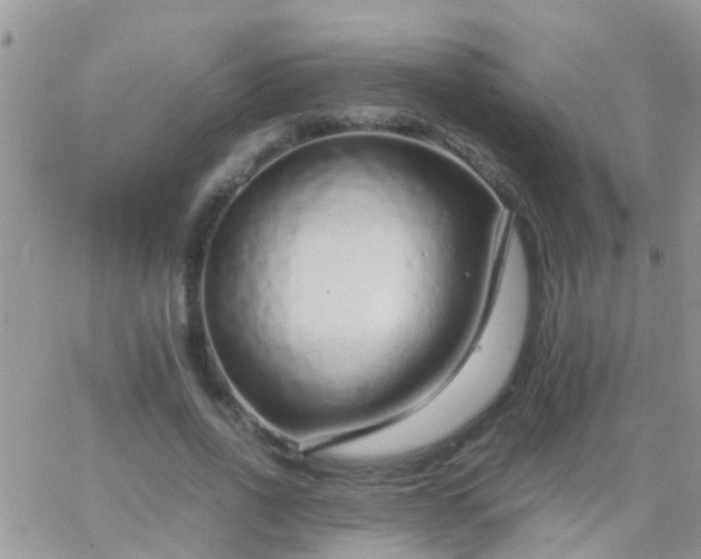 X0000065240734200602242024