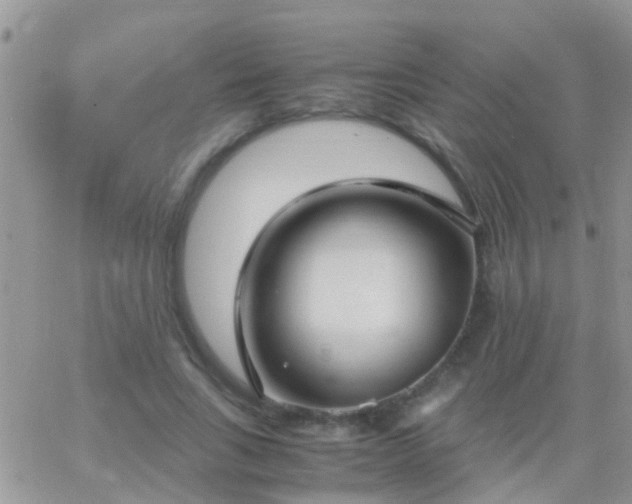 X0000065240735200602242024