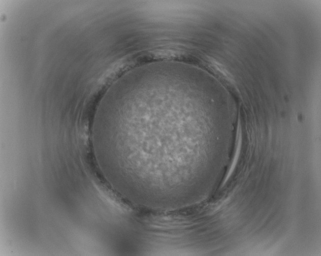 X0000065240737200602242024