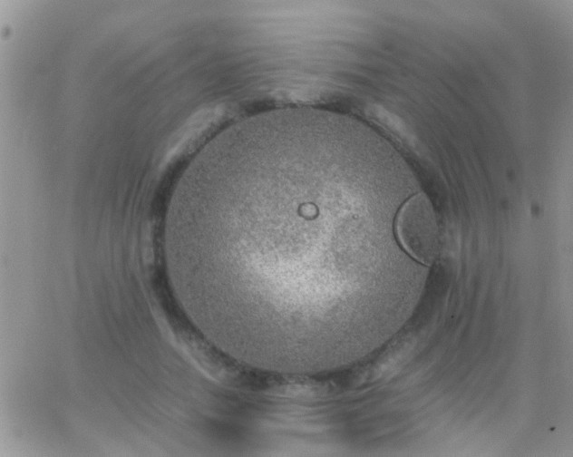 X0000065240738200602242024