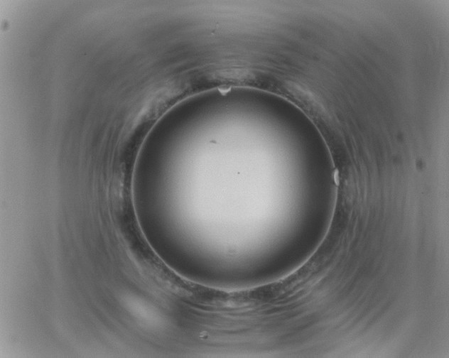 X0000065240739200602242024