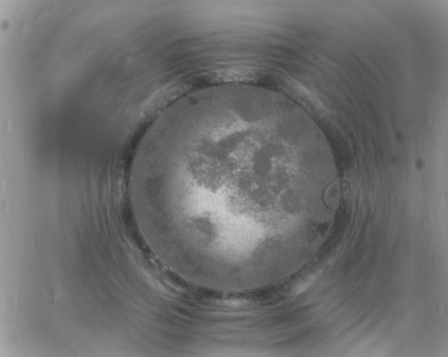 X0000065240741200602242024