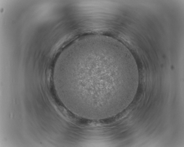 X0000065240742200602242024