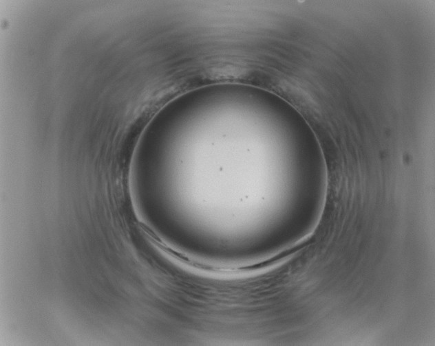 X0000065240743200602242024