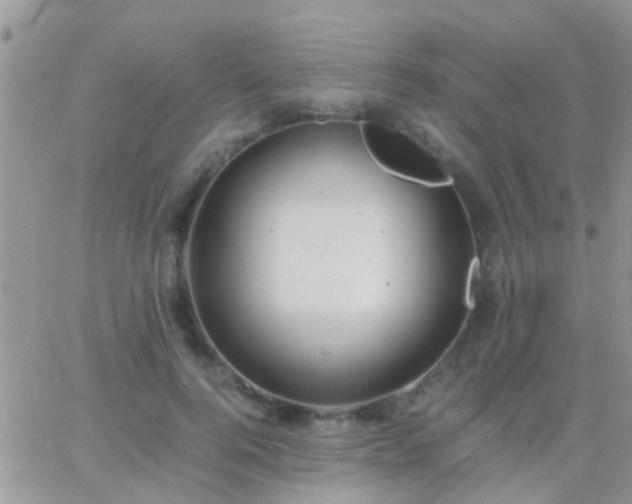 X0000065240744200602242024