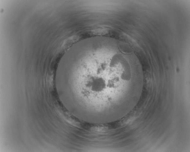 X0000065240745200602242024