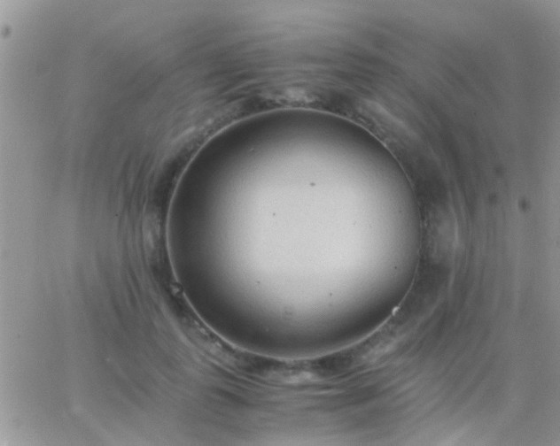 X0000065240747200602242024